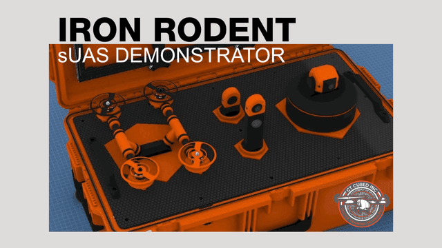 The Iron Bird and the Iron Rodent